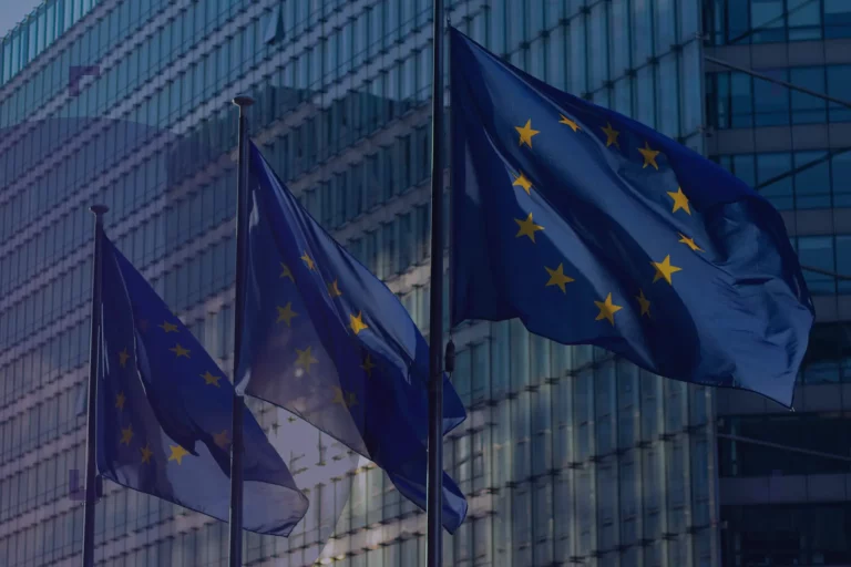EU flags